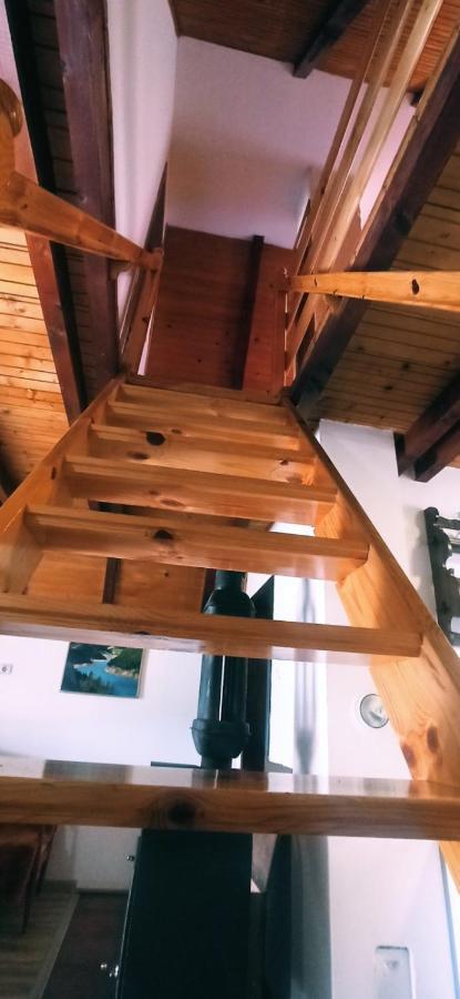 Planinska Kuca Dusan Mitrovac Exteriör bild