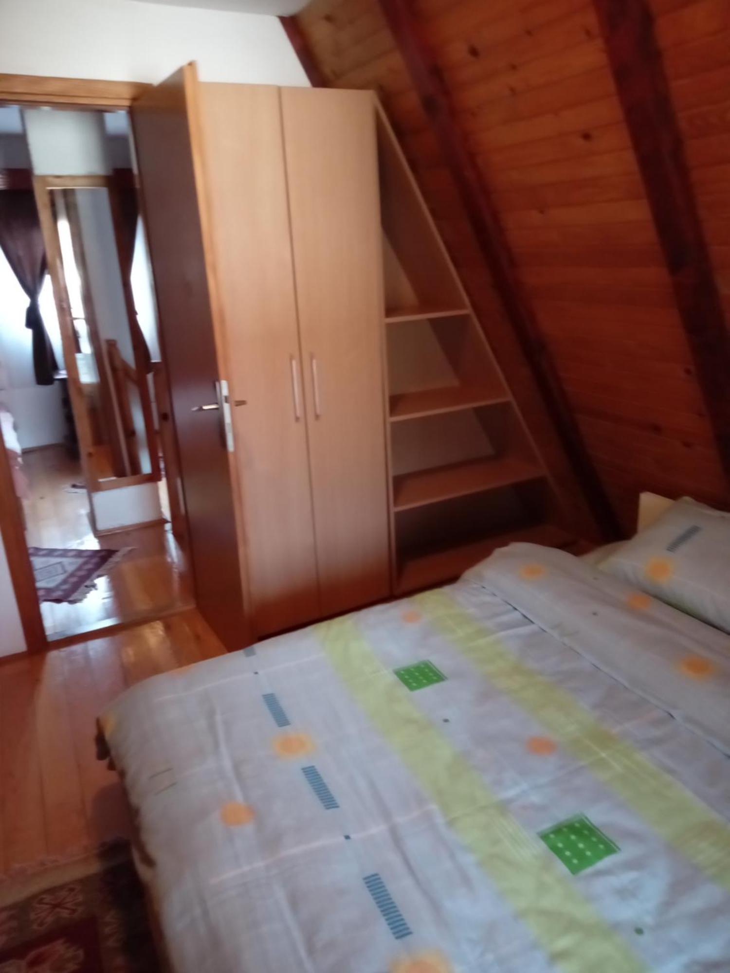 Planinska Kuca Dusan Mitrovac Exteriör bild